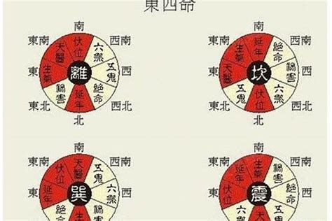 离卦 东四命|东四命与西四命的命卦对照